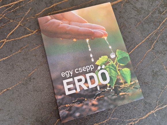 egy csepp erdő